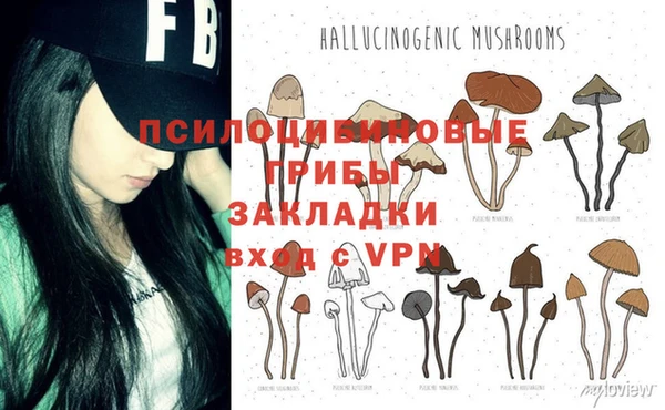 ALPHA PVP Богородск