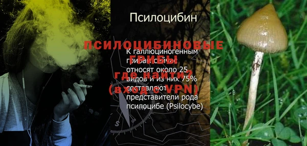 ALPHA PVP Богородск